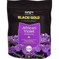 Black Gold African Violet Mix 8qt GL61100512701